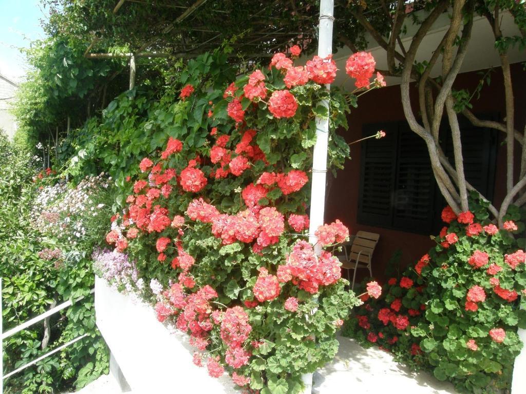 Apartmani Luna Χβαρ Εξωτερικό φωτογραφία