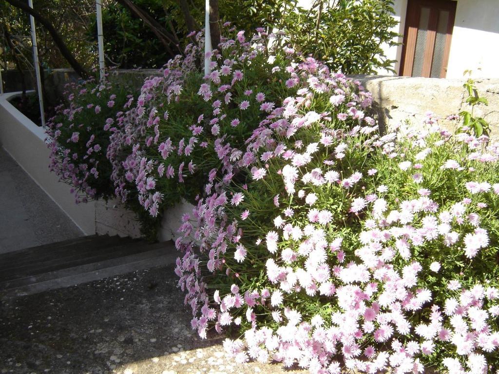 Apartmani Luna Χβαρ Δωμάτιο φωτογραφία