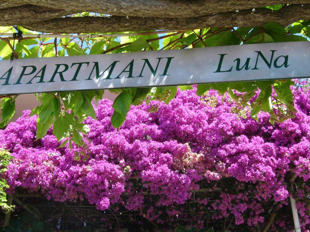 Apartmani Luna Χβαρ Εξωτερικό φωτογραφία